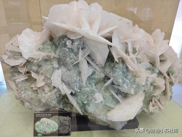 逛中国地质博物馆——一家好博物馆的暑期不佳体验