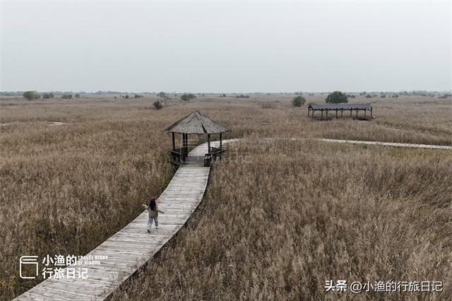 陕西秋冬自驾，浪漫天花板！一路风景一路惊喜！周末去浪