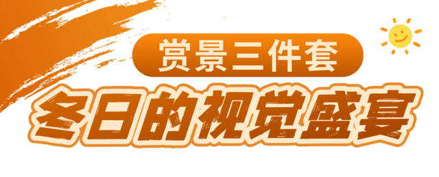 冬日的渭南，我给你准备了“三件套”