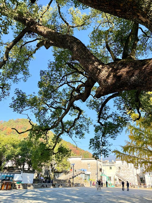 婺里古乡(上饶市婺源县)