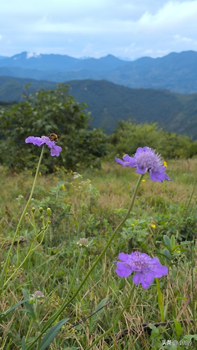 雨后徒步辽阳梨花峪，云雾缭绕｜木栈道、山地草甸、网红秋千