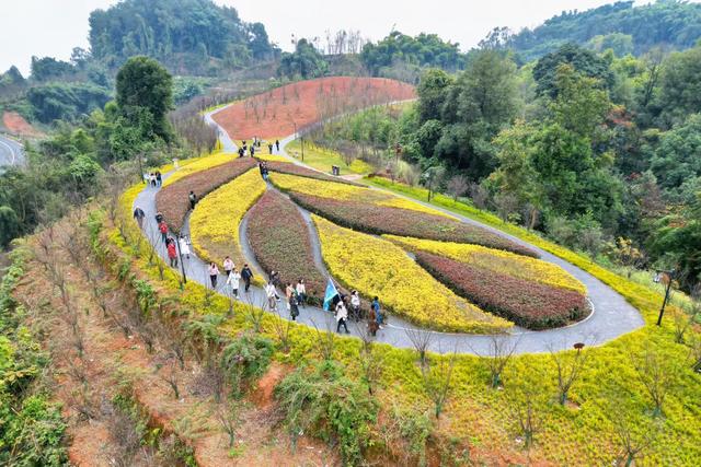 四川网络名人乐山行：3天5区县，解锁“我心向往·乐山乐山”密码
