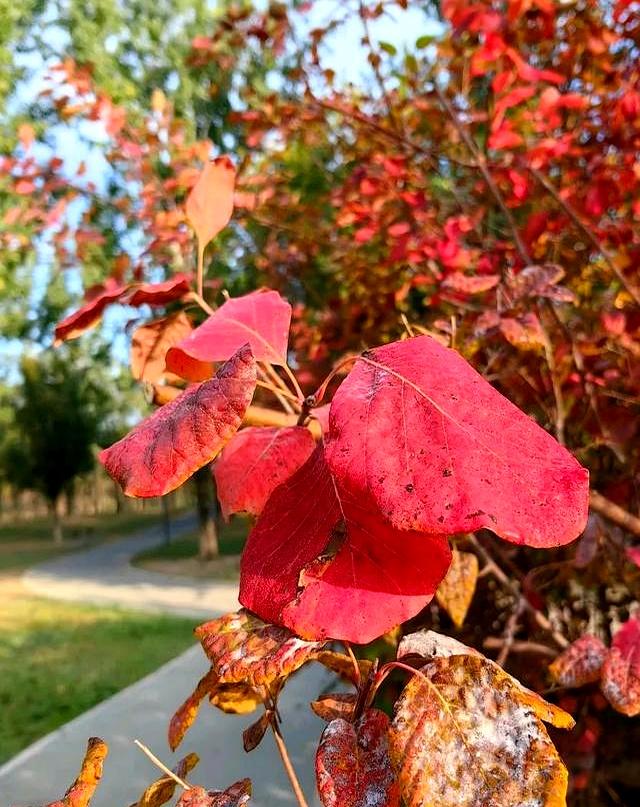 55岁阿姨相亲一见钟情，当晚同居，第二天起床竟不知对方姓名！