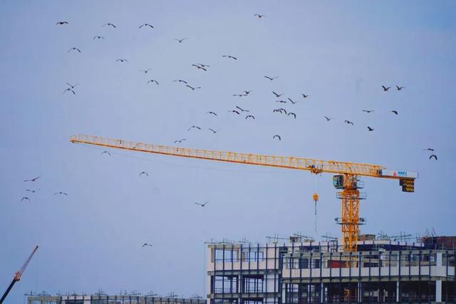 冬崃｜在泉水湖湿地公园，收藏整个冬天的浪漫与生机~