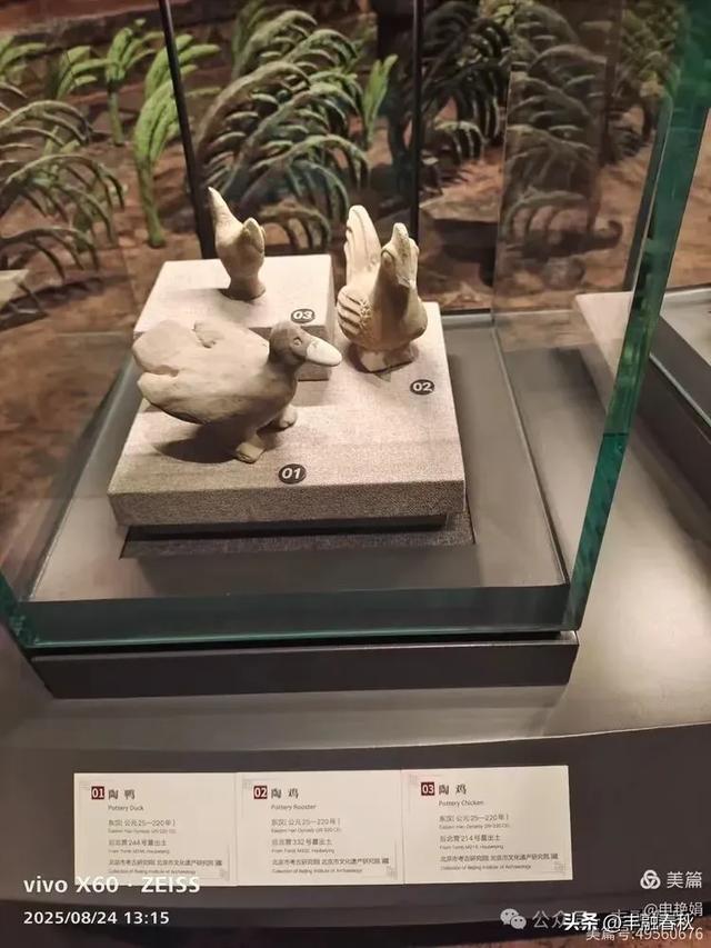 探秘路县故城遗址博物馆:邂逅两千年的时光沉淀| 申艳娟