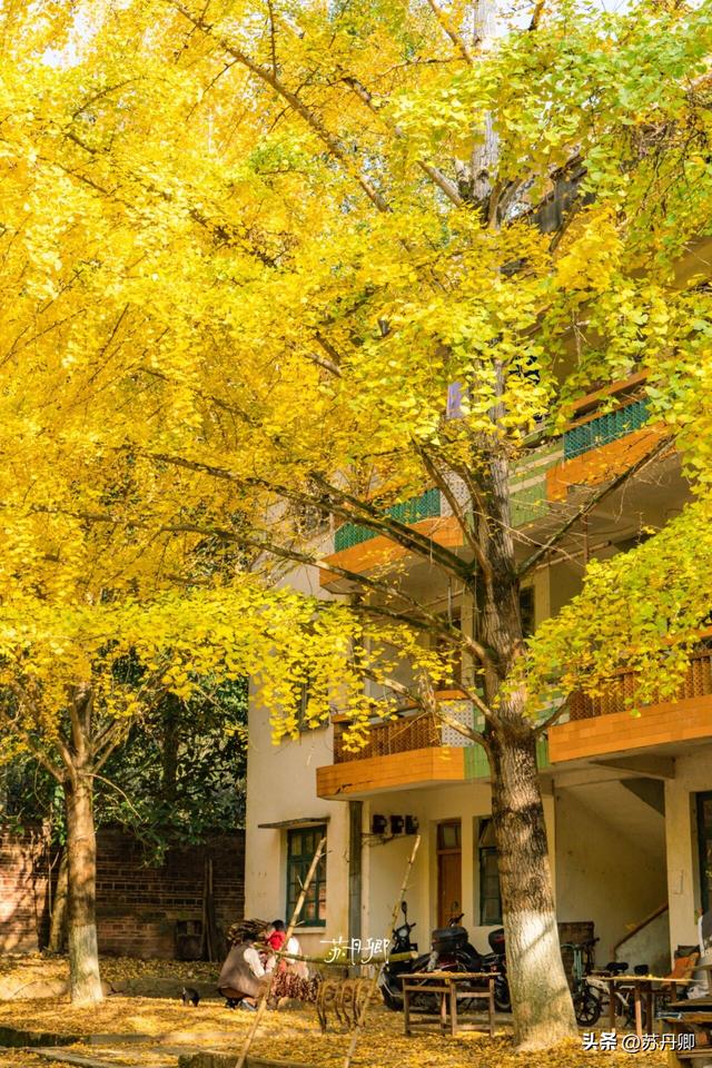 武汉出发！高铁3.5h直达！用3天时间解锁一座小众宝藏城市