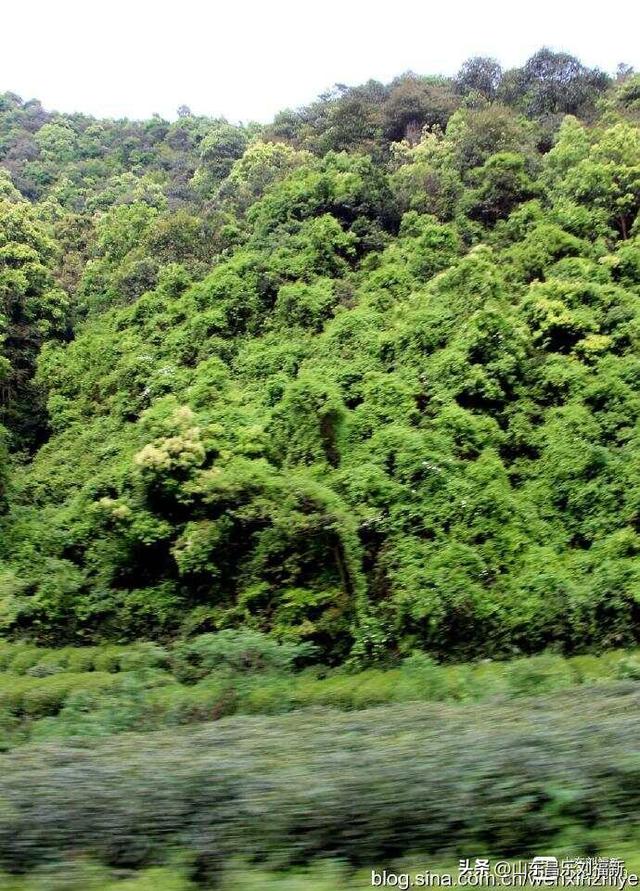 杭州324路公交车沿途风光（皖浙沪旅游122）