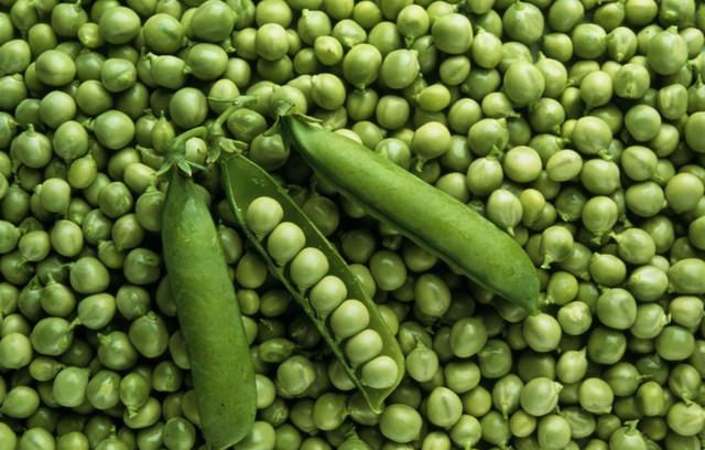 你的孩子是有福之人，自带贵气：不焦虑，静待他发光！