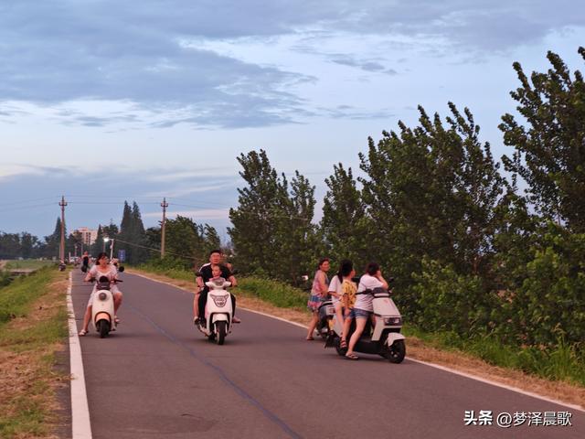 云梦：府河大堤好纳凉 城市绿廊变身"天然空调房"