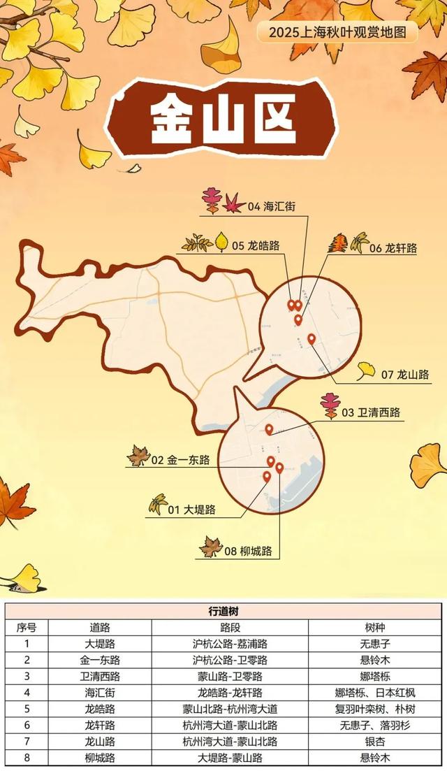 2025上海秋叶地图出炉,徐汇这些点位不可错过!