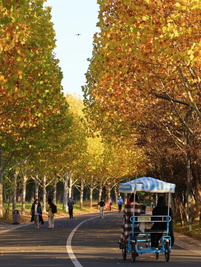 我拼了个“秋”！