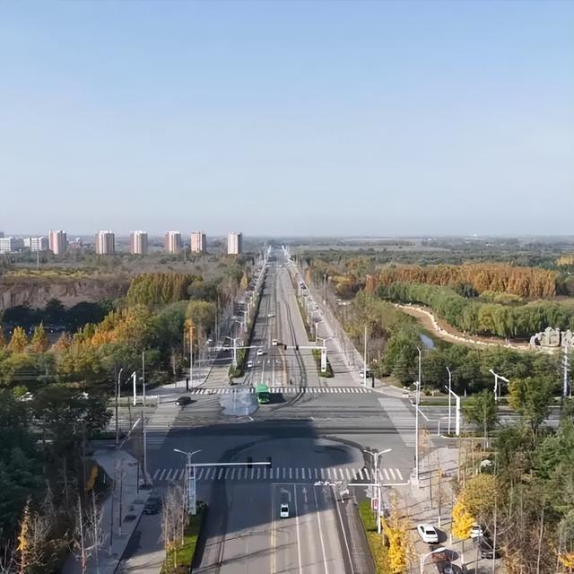 【寻美山东 寻美聊城】聊城阳谷，一树银杏 满城温柔！