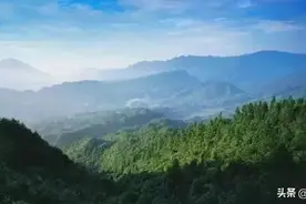 农村自留地简介图片