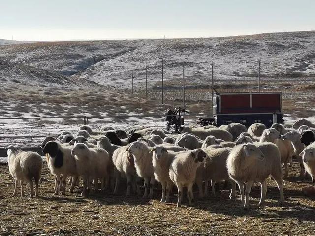 李秀建 | 四子王旗纪行