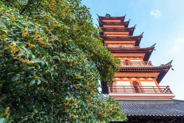 今天，《新华日报》整版聚焦吴中！