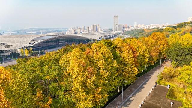 打卡心形湖！重庆这个公园美成油画