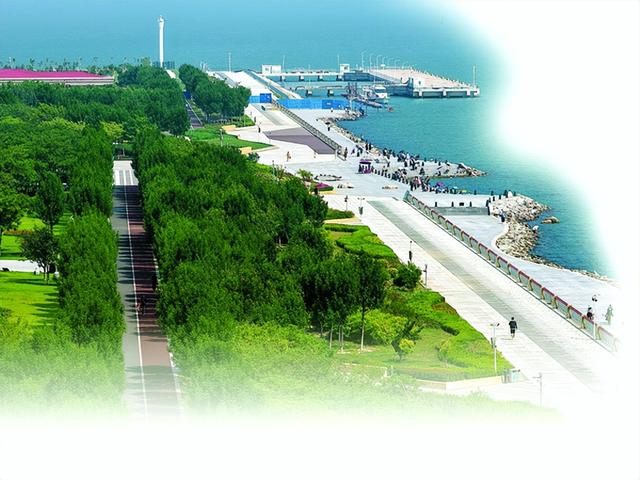 天津港保税区中港池北部岸线吸引市民避暑