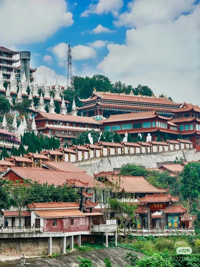 周末就冲！成都出发40min直达浪漫小城，喂海鸥逛古寺！