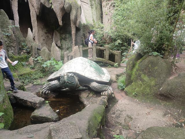 我在嵖岈山等你（2）