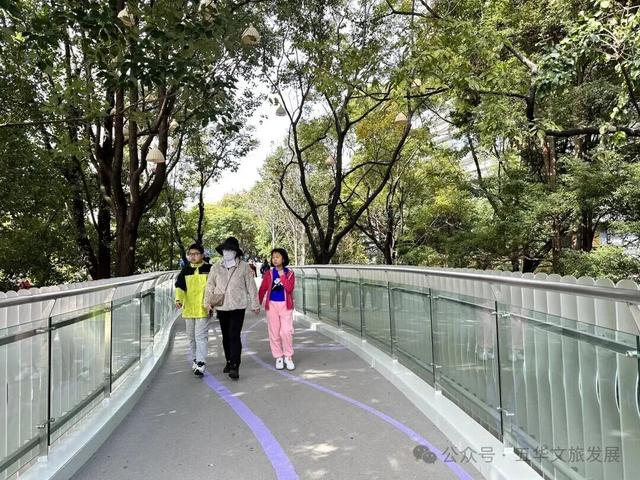 连通翠湖、昆明老街片区！翠湖城市绿道建成开放