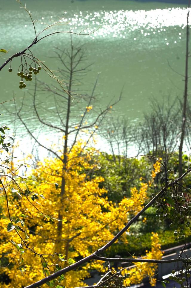 来达州宣汉，赴一场“黄金”盛宴