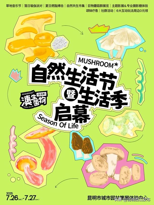 湖畔西山 清凉一夏 | 2025昆明“滇生菌物生活季”启幕，西山商文旅消费盛宴全面开启