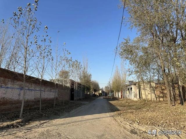 冠县乡韵·贾镇荆楼村