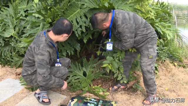 跨越山海的生态之约 奏响人与自然和谐乐章