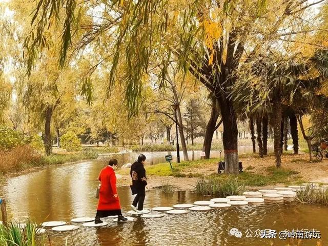 全部免费!渭河南河堤路赏秋攻略大全,那风景简直美爆了!