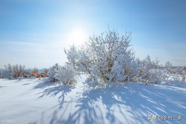 “冷不冷，就看九月初九”，今日九月初九，今年冬天会很冷吗？