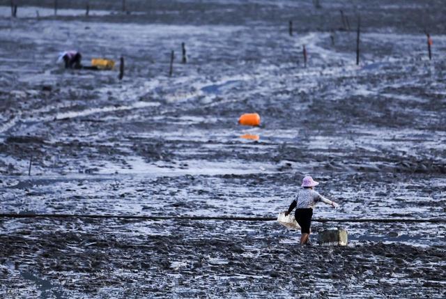 从湖南去了一趟霞浦，实话实说，回来才发现朋友圈都是骗人的？