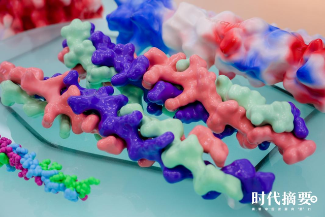 《时代摘要》第三季对话锦波生物杨霞：以硬核技术，勇闯胶原蛋白“无人区”