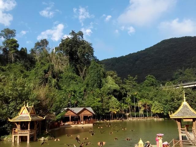 反向避寒指南：这5个温暖目的地，让你这个冬天既省钱又舒心！