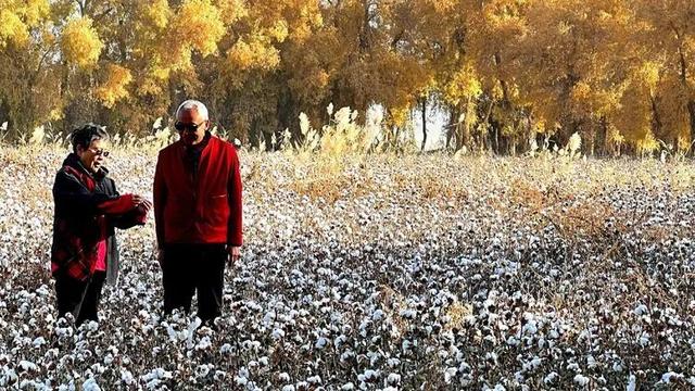 邢强 | 秋游南疆