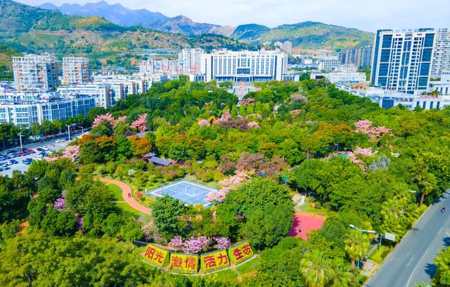 有朋自远方来！米易City walk超精彩