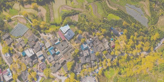 广西秋熟透了！红枫燃林、银杏铺古村，3条路线承包全国颜值巅峰