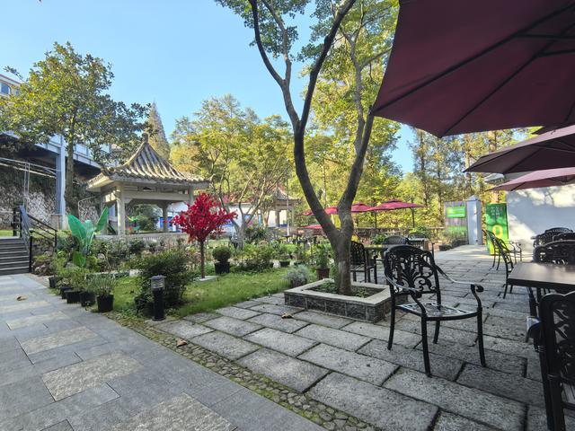 浙江湖州市德清县莫干山国家级风景名胜区游记（上）