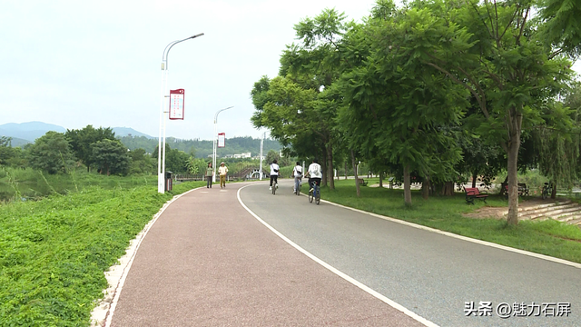 异龙湖37公里生态廊道的绿色密码