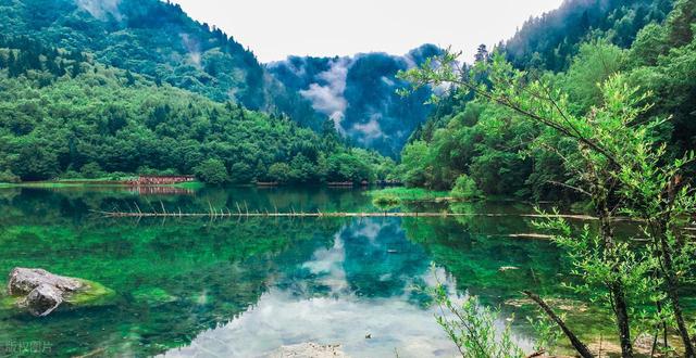 四川山水四绝：峨眉秀、青城幽、夔门险、剑门雄，你去过几个？