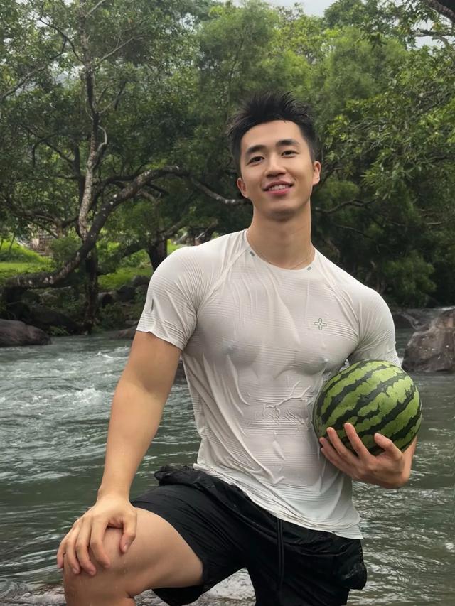 猫咪为什么喜欢钻纸箱?