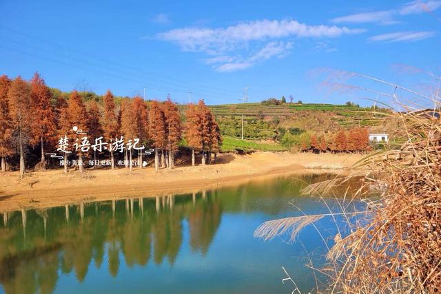 浙江绍兴的网红水库，因红杉胜境而出圈，具体怎么游请看详细攻略