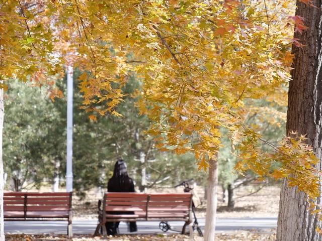 在顺义这些宝藏公园邂逅斑斓秋景——