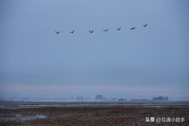 佳能的“标志性套头”——RF 24-105mm f/4L IS USM 镜头评测
