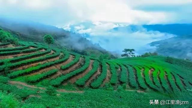 秦岭南麓的山水长卷