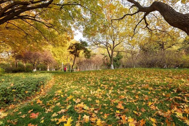 我捡，我捡，我在潍坊捡捡捡！