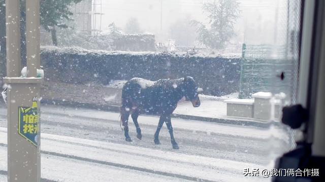 一匹黑马暴雪中压马路，夫妻房车旅居川西，靠充电桩续命！