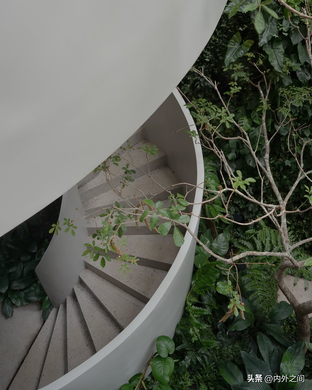 美学散步，行走间的静谧