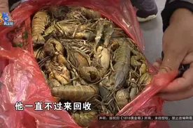 保安大哥买“澳龙”，到手一看……河虾？图片