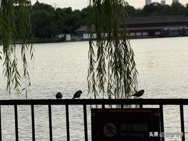 30分钟治愈你的焦虑，带你漫步最治愈的公园之一：北海公园