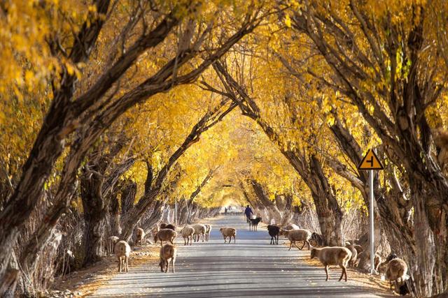 10月适合去的5个小众旅行地，人少风景美，通行条件佳